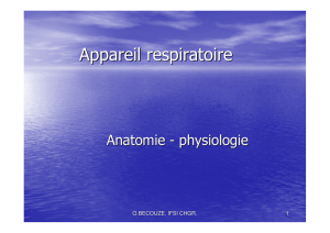 Appareil respiratoire - promotion 2014