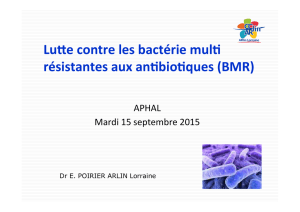 Lu e contre les bactérie mul résistantes aux an bio ques (BMR)