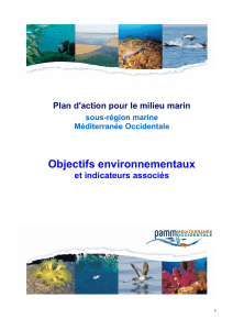 Objectifs environnementaux - Direction Interrégionale de la Mer