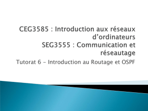 Tutorat 6 - Introduction au Routage et OSPF