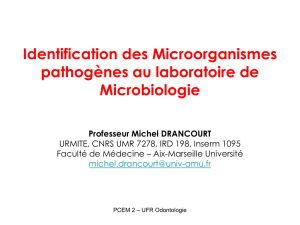 identification des microorganismes pathogenes au laboratoire de