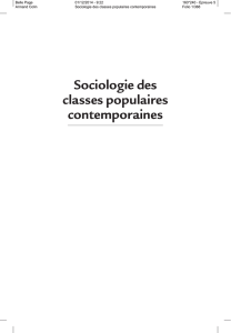 Sociologie des classes populaires contemporaines