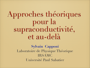 pdf, in french - Laboratoire de Physique Théorique Toulouse