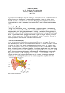 Article baro des oreilles