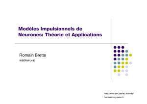 Modèles Impulsionnels de Neurones: Théorie et Applications