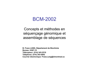 BCM-2002
