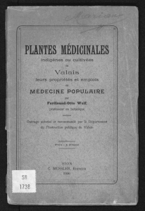 plantes médicinale!