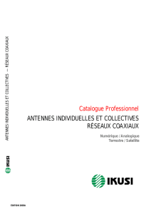 Catalogue Professionnel ANTENNES INDIVIDUELLES ET