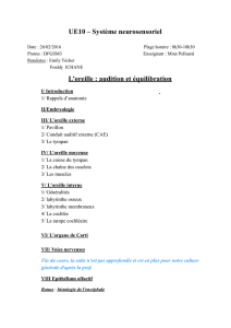 D1-UE10-Pelluard-L`oreille_audition_et_équilibration-pdf