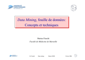 Data Mining, fouille de données: Concepts et techniques
