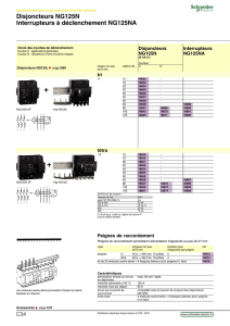 Disjoncteurs NG125N Interrupteurs à