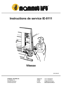 IE-0111 Instructions vitesse