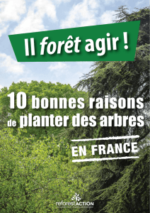 Il foret agir -10 bonnes raisons de planter des arbres en France