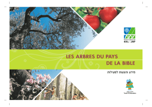 les arbres du pays de la bible