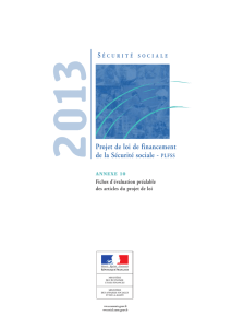 plfss 2013 - Sécurité sociale