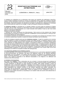 CClin Sud-Est. Résistance aux antibiotiques. 2010, 4