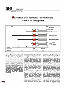 Récepteur des hormones thyroïdiennes, c-erb-A et - iPubli