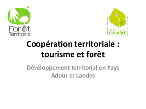 Coopéra on territoriale : tourisme et forêt