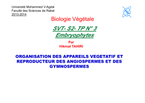 TP3 Embryophytes - Faculté des Sciences de Rabat