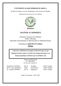 Mémoire MASTER ACADIMIQUE Thème - DSpace