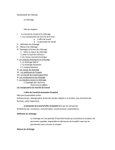 SOCIOLOGIE DU TRAVAIL Le chômage Plan du chapitre I. Le