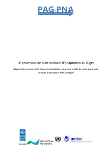 Le processus de plan national d`adaptation au Niger