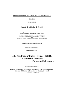 Mémoire DU - Version Finale - SED - Monique VIENNE