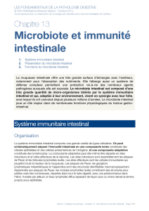 Microbiote et immunité intestinale