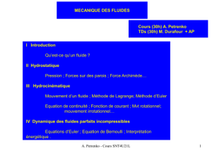 MECANIQUE DES FLUIDES Cours (30h) A. Petrenko TDs (30h) M