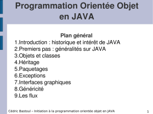 Programmation Orientée Objet en JAVA