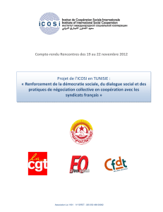 Projet de l`ICOSI en TUNISIE : « Renforcement de la démocratie