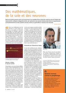 Lire l`article - Institut des neurosciences cellulaires et intégratives