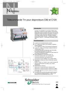 Télécommande Tm pour disjoncteurs C60 et C120