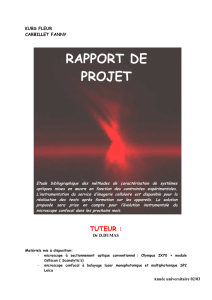 Rapport de Projet 2003