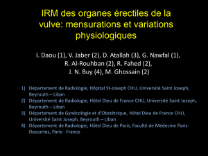 IRM des organes erectiles de la vulve:mensurations et variations