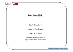 Java Card RMI Java Card RMI