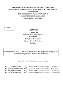 Etude par DFT et TD-DFT de la structure et des propriétés optiques