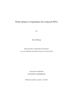 Étude optique et magnétique des composés RVO3