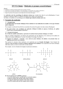 TP N°2 Chimie : Molécules et groupes caractéristiques