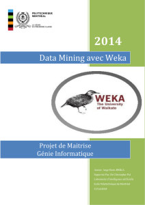 Data Mining avec Weka