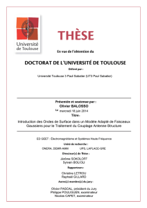 lien - Accueil thèses - Université Paul Sabatier