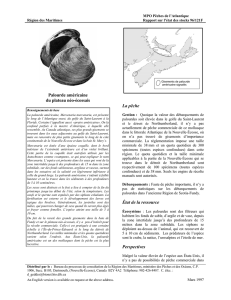 1996/121 - Publications du gouvernement du Canada