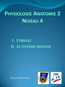 Anatomie Physiologie niveau 4