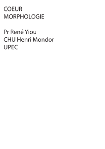 COEUR MORPHOLOGIE Pr René Yiou CHU Henri Mondor UPEC