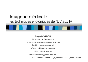 Imagerie médicale : les techniques photoniques de l`UV aux