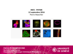 Fondamentale Département: Physiologie Cellulaire et Métabolisme