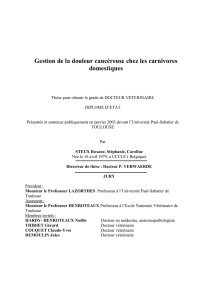 Gestion de la douleur canc&eacute;reuse chez les carnivores