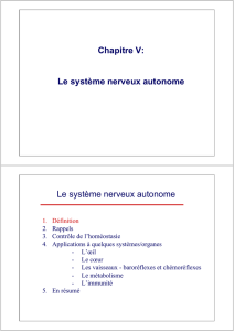 Le système nerveux autonome Le système nerveux autonome