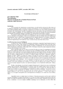 Le cerveau a-t-il un sexe