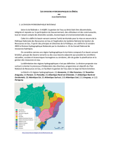 Selon la loi fédérale n. 9.433/97, la gestion de l`eau au Brésil doit